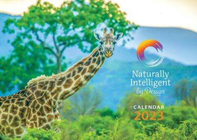 Naturally Intelligent by Design – Calendars