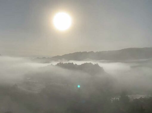 Breathing Earth